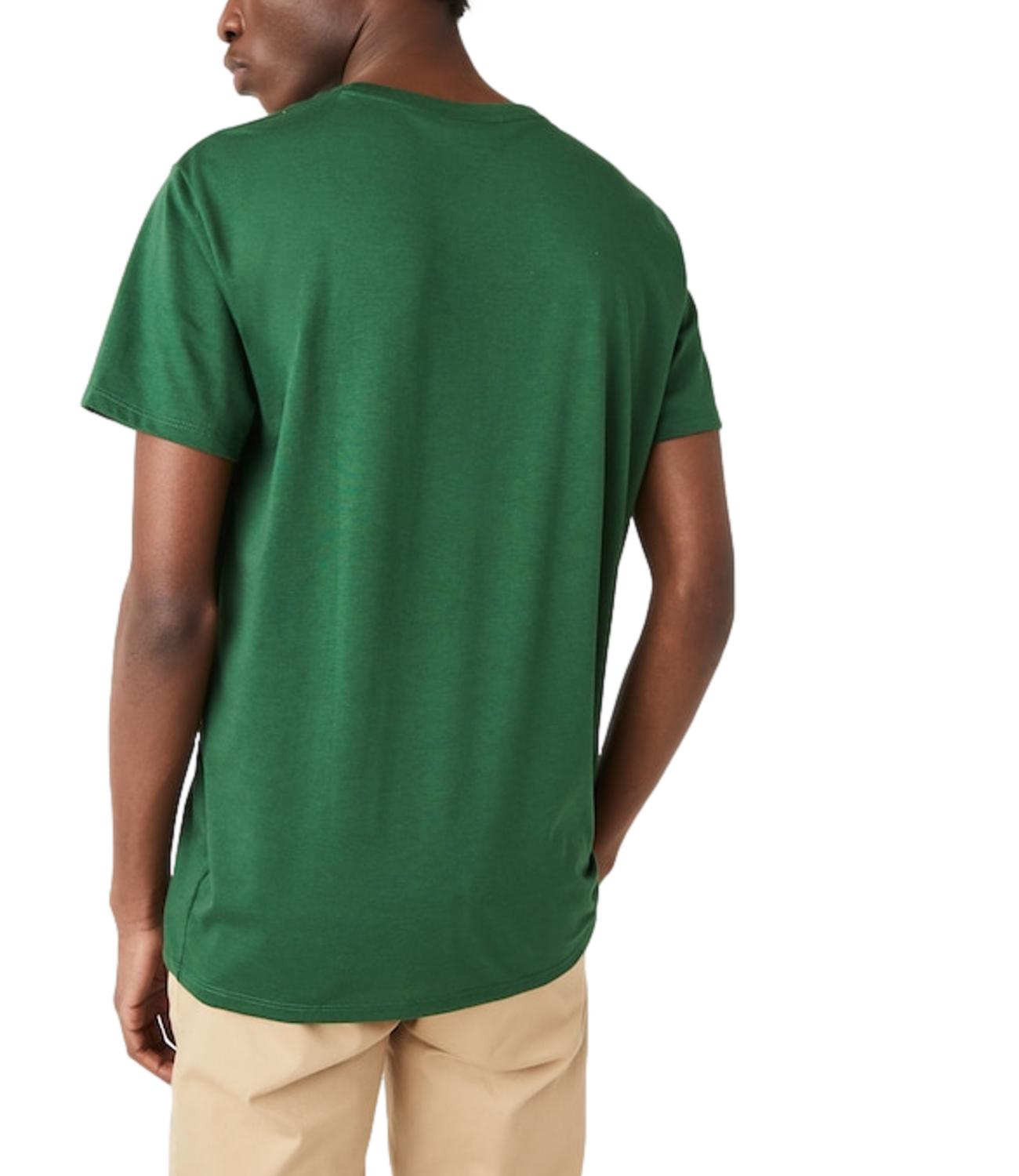 T-Shirts Uomo verde