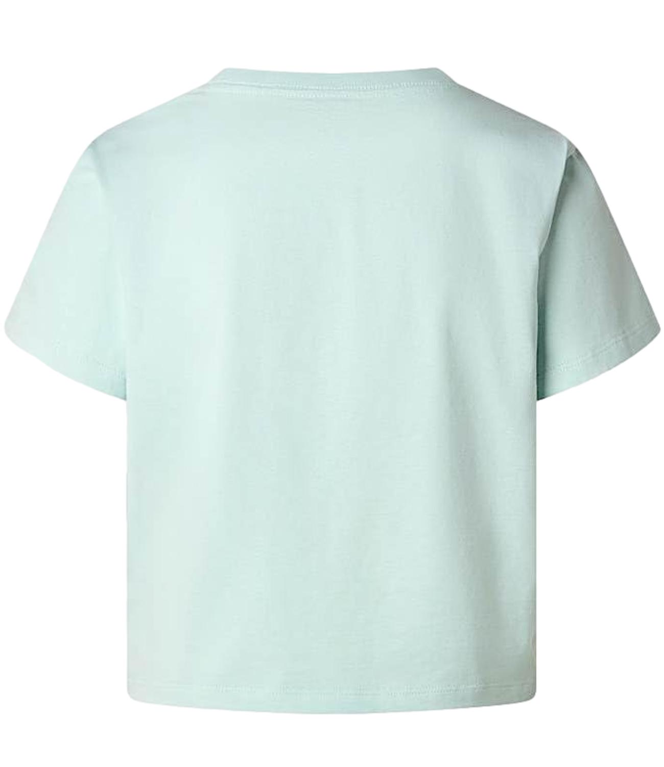 The North Face T-Shirt da Donna - Opal Frost - Nf0a8gr1g70