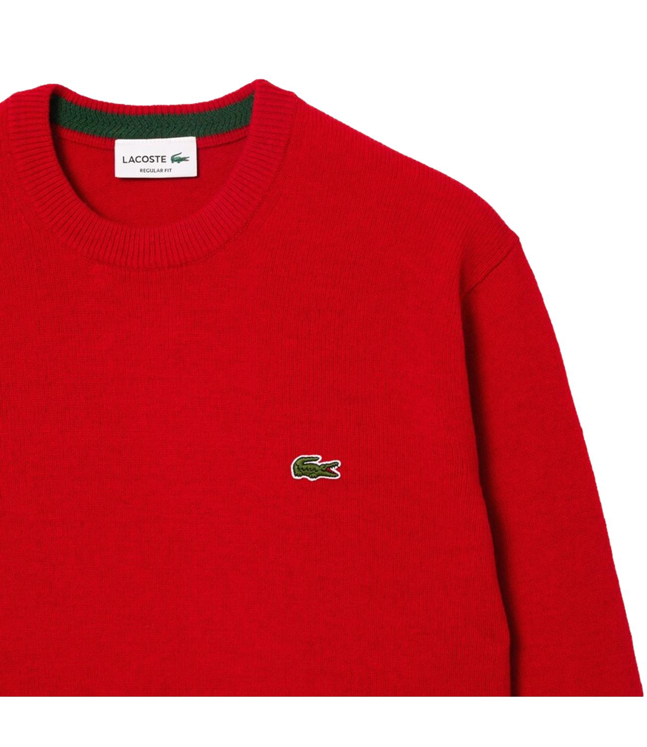 Red crew neck sweater